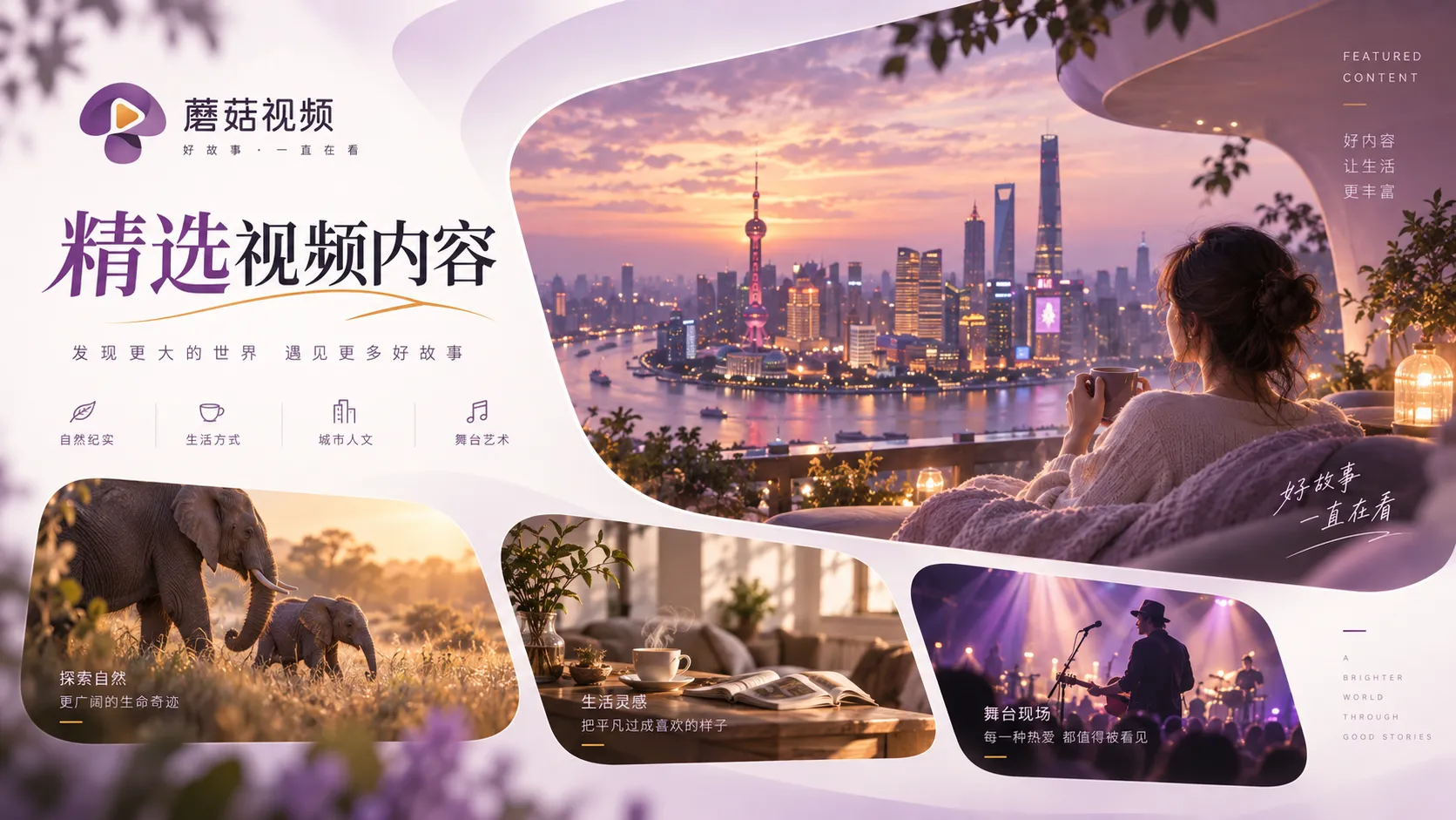 蘑菇视频内容整理与编辑式浏览结构